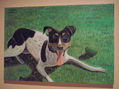 Retrato de mascota (vendido)