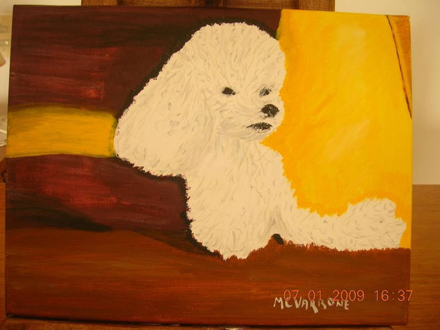 TUCKY Acrylic Canvas Animals