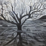 cera thumbnail 1
