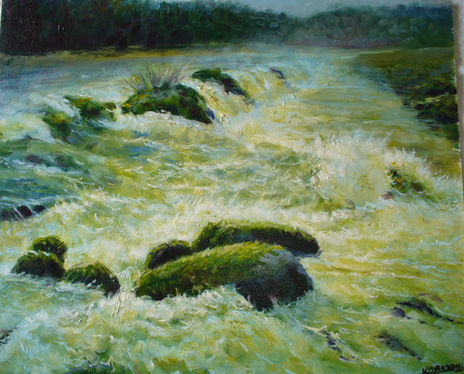 saltos del Moconá
