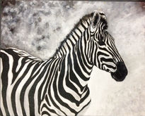 Zebra Retrato