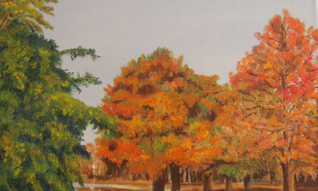 Paisajes