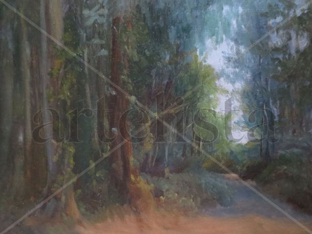 Bosque en Galícia