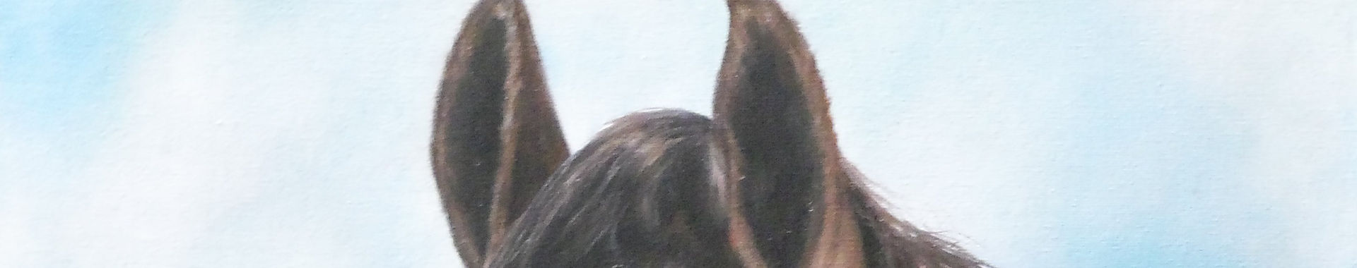 Imagen de portada