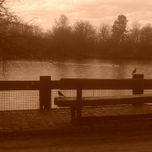 PAISAJES TORBAL thumbnail 1