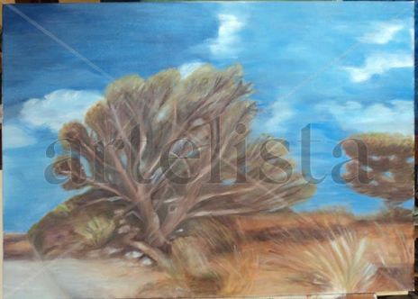 "Paesaggio di...