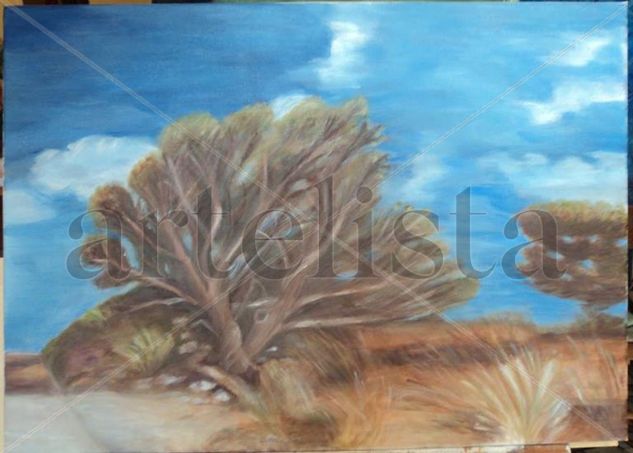 "Paesaggio di Maiorca " Oil Textile Landscaping