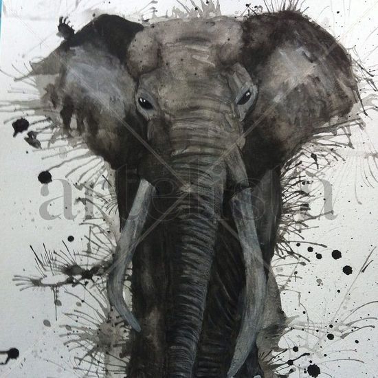 Elefante Acuarela Papel Animales