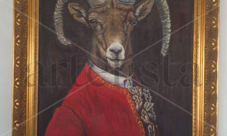 Animales