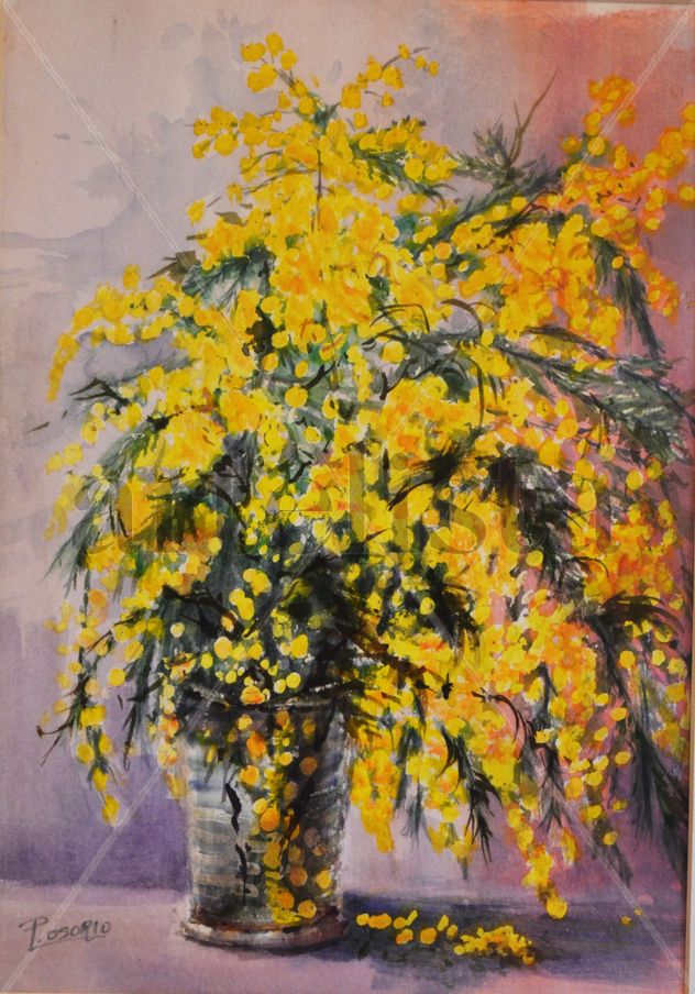 MIMOSAS