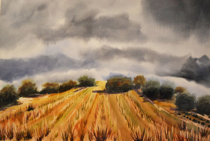 Campos 2