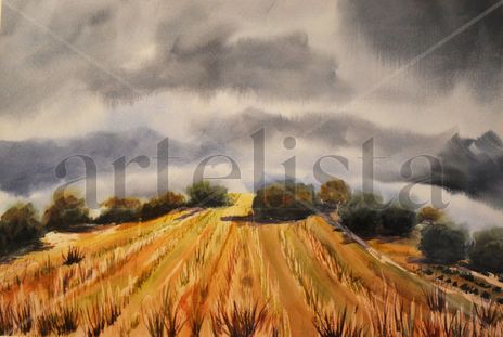 Campos 2