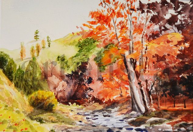 OTOÑO Watercolour Paper Landscaping