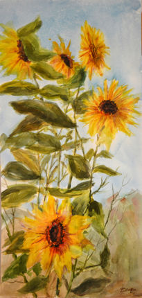 Girasoles