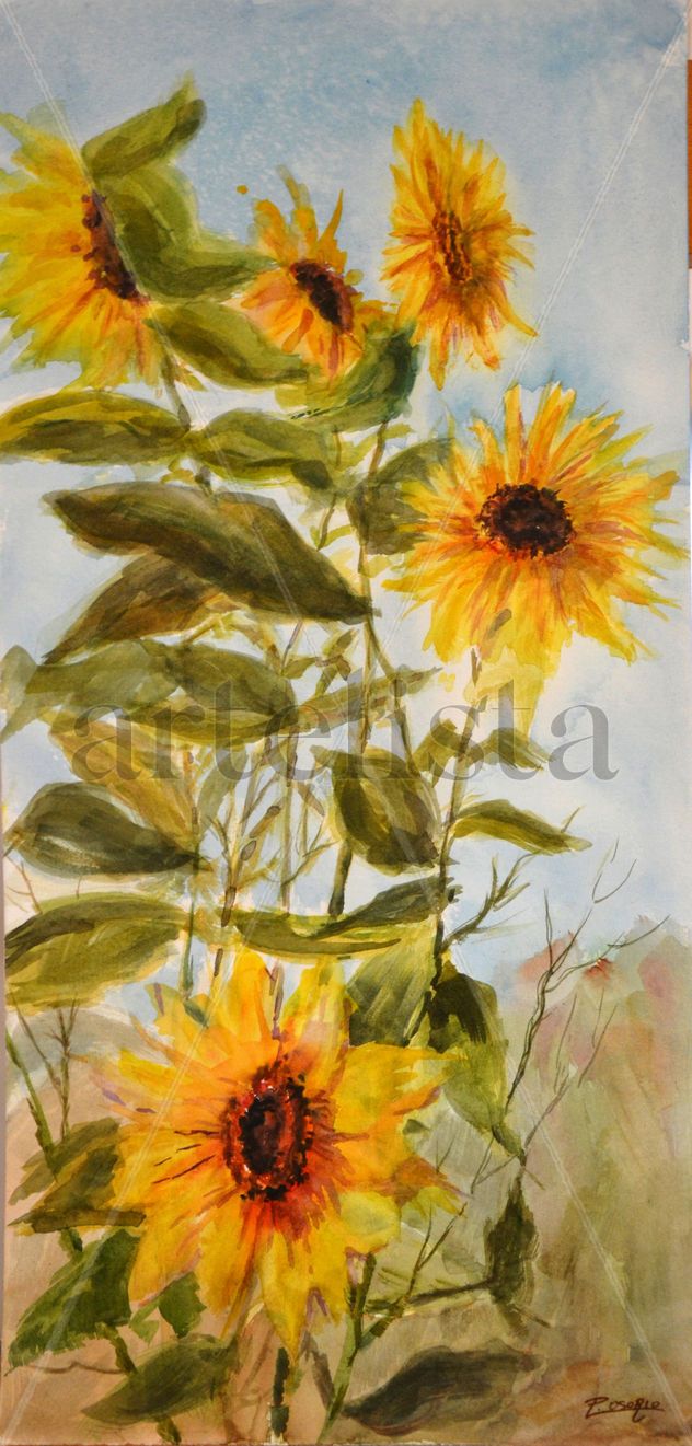 GIRASOLES