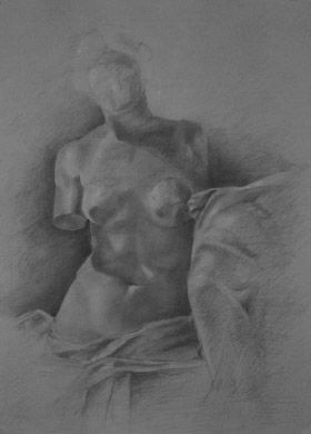 Venus Charcoal