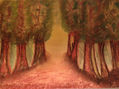 Camino Interior