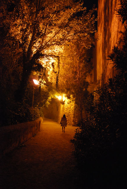 Magia nocturna