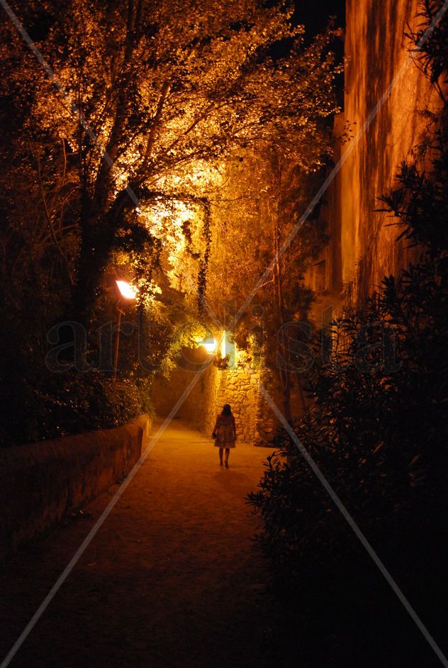 Magia nocturna