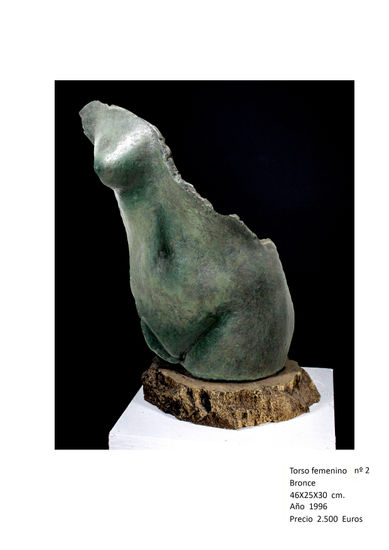 Torso femenino nº2 Bronze Figurative