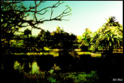 Collage Uruguay