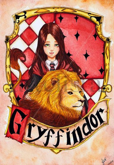 Gryffindor Técnica Mixta