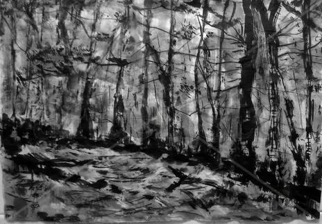 Sumi1