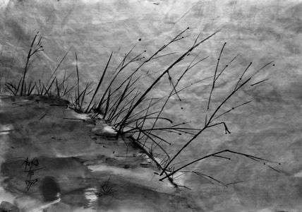 Sumi5