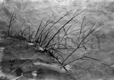 Sumi5