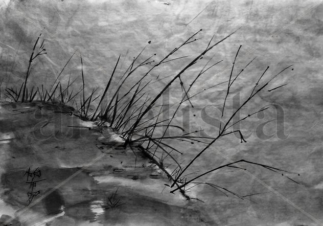 Sumi5