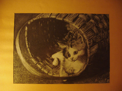 Gato