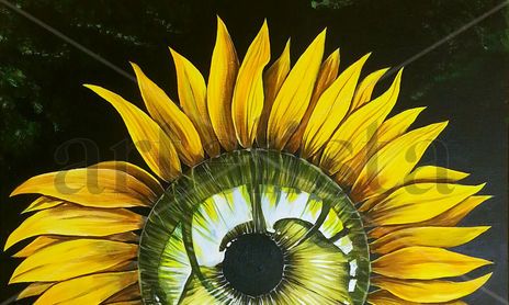 Sun flowers