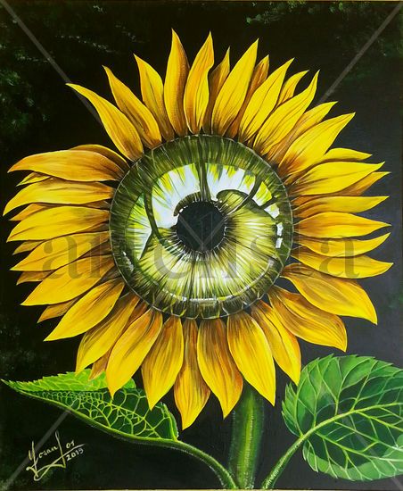 La mirada del girasol Acrylic Canvas Floral Painting