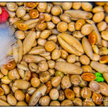 Fotografia de autor thumbnail 1