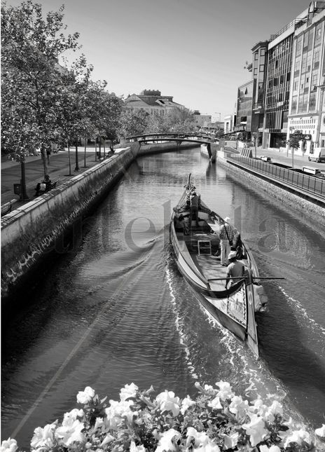 Paseo por el rio