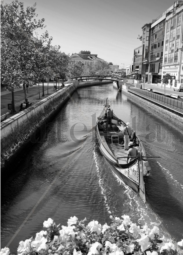 PASEO POR EL RIO