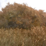 Paisajes thumbnail 2