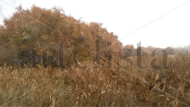 Daimiel.Otoño II