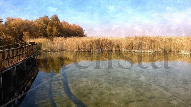 Daimiel. Otoño III