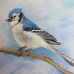 animales thumbnail 2