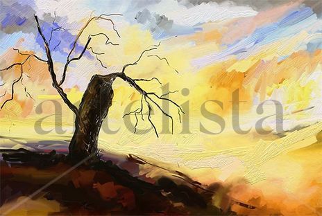 Paysage