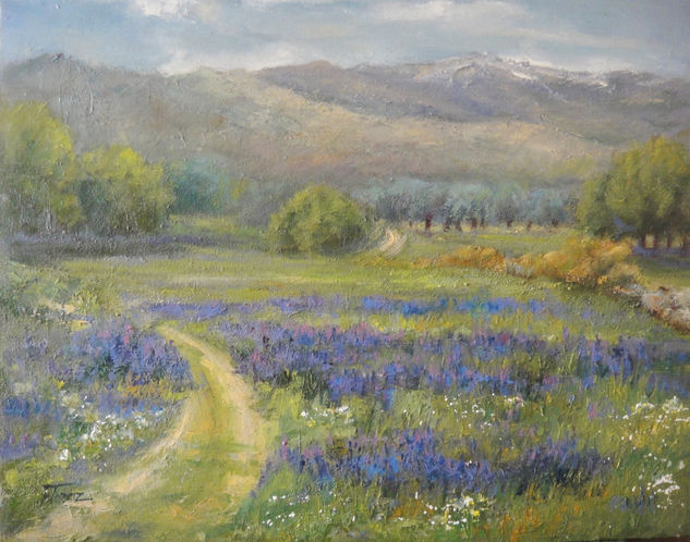 Llega la primavera Óleo Lienzo Paisaje