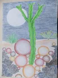 Cactus and the moon