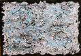 NEURONAS