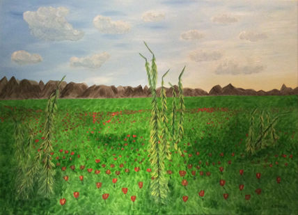 Campo de amapolas