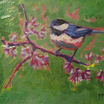 Pajaros 2012 thumbnail 1