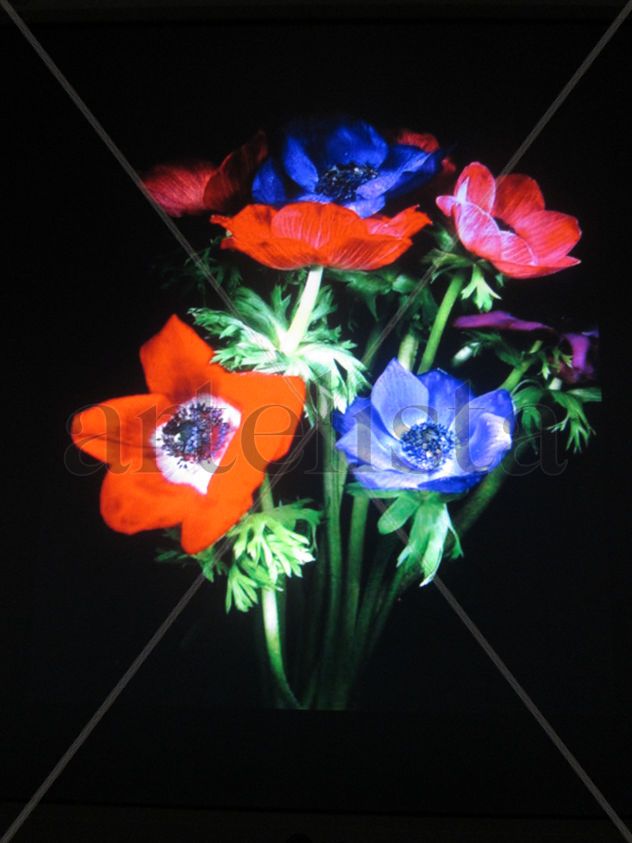 Ramo de flores