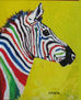 Zebra of Colors