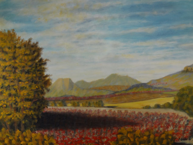 La Rioja Oil Canvas Landscaping