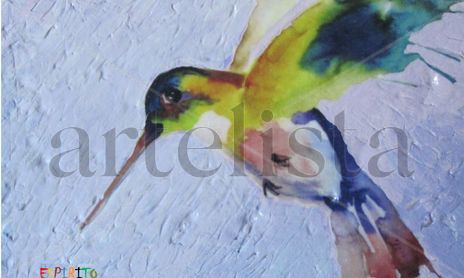 Pajaros 2012